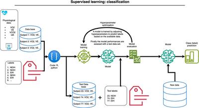 The role of machine learning methods in physiological explorations of endurance trained athletes: a mini-review